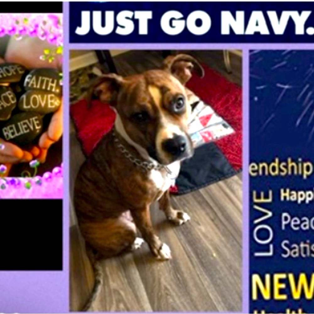 Meet your Posher, A3queen